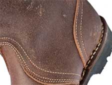 landvogt-detail2 sommer und winter Landvogt